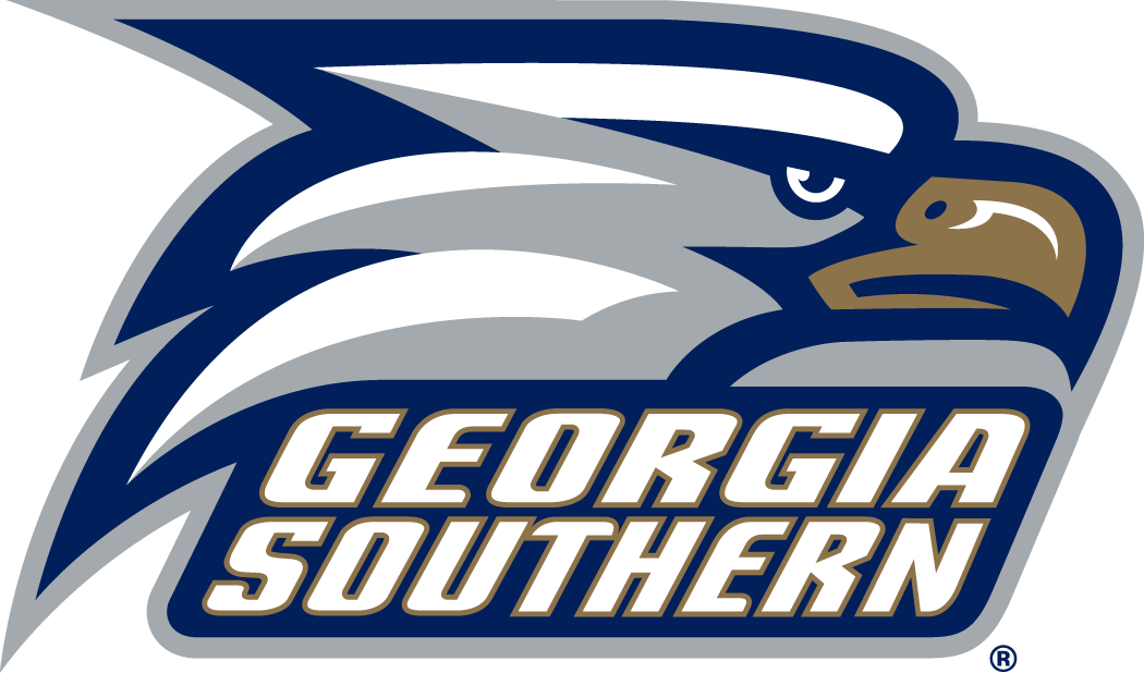 Georgia Southern Eagles 2010-Pres Primary Logo iron on transfers for T-shirts